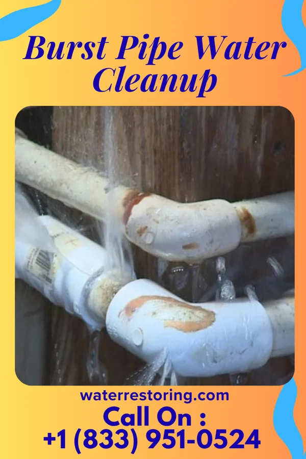Burst Pipe Water Cleanup in McClure, OH