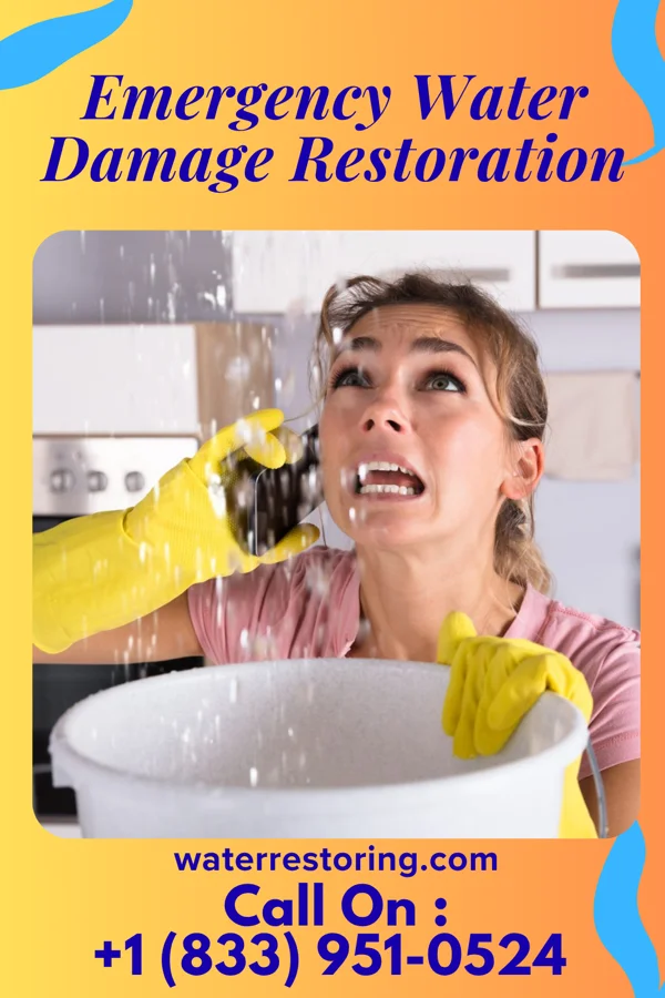 Emergency Water Damage Restoration in McClure, OH