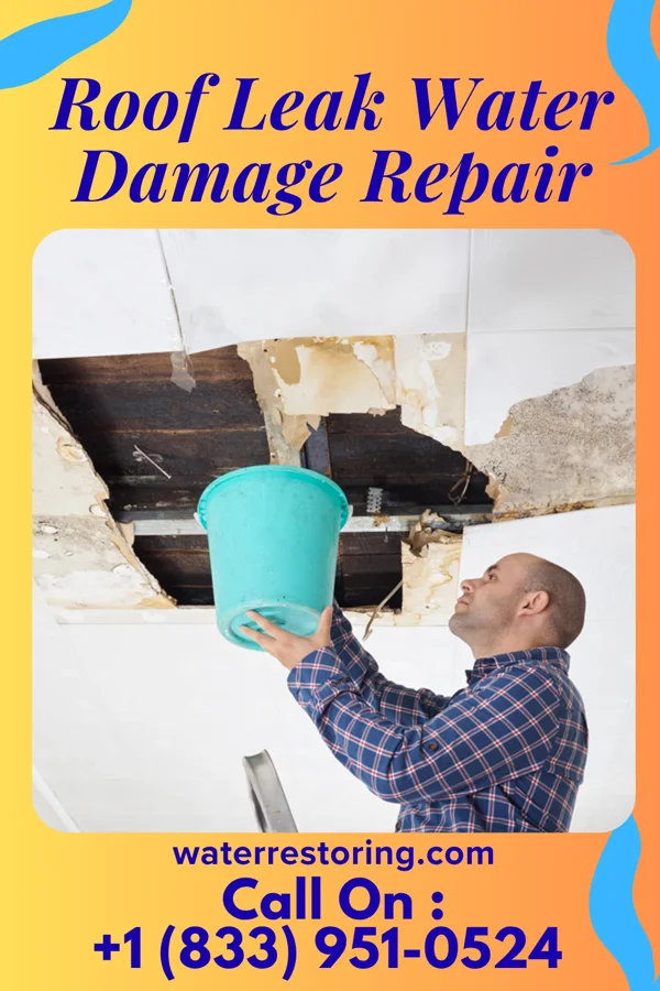 Roof Leak Water Damage Repair in McClure, OH