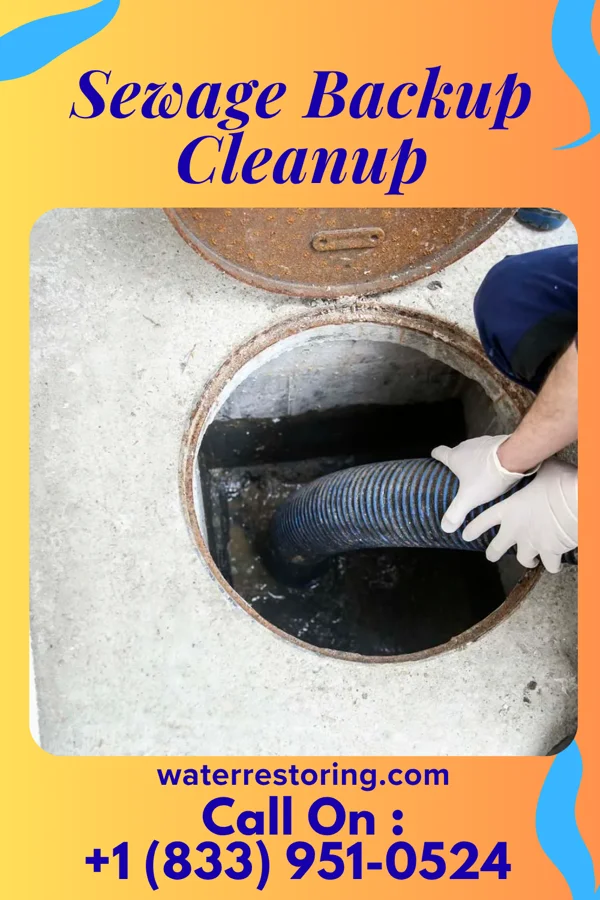 Sewage Backup Cleanup in McClure, OH