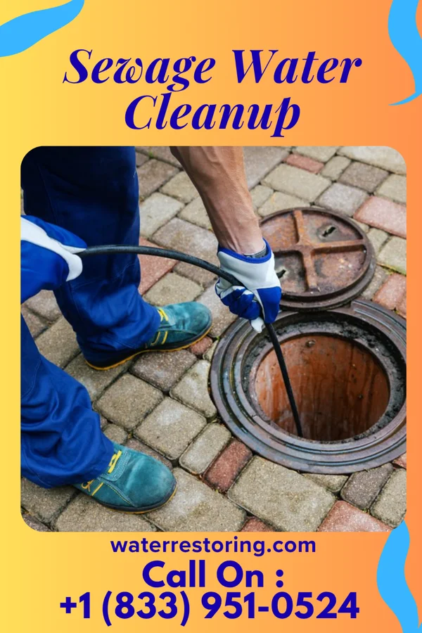 Sewage Water Cleanup in McClure, OH