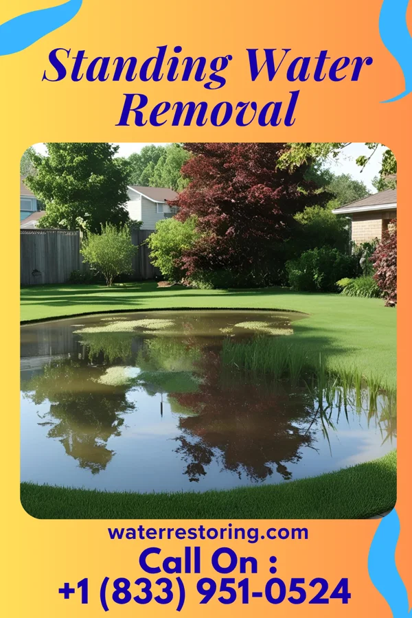Standing Water Removal in McClure, OH